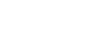 TheVirtualWild